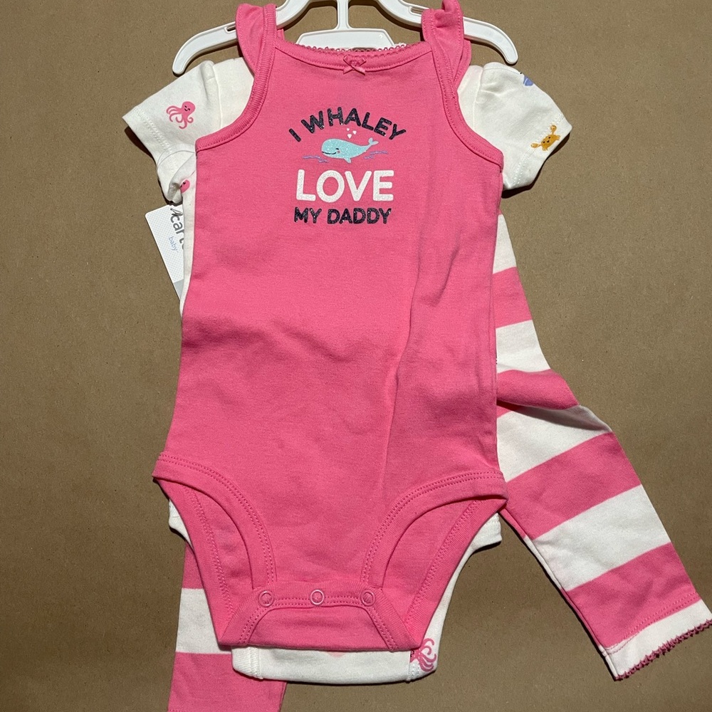 9month girls 3 piece summer clothes